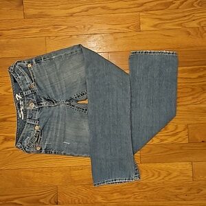 Seven Lightweight Denim Embroidered Jeans